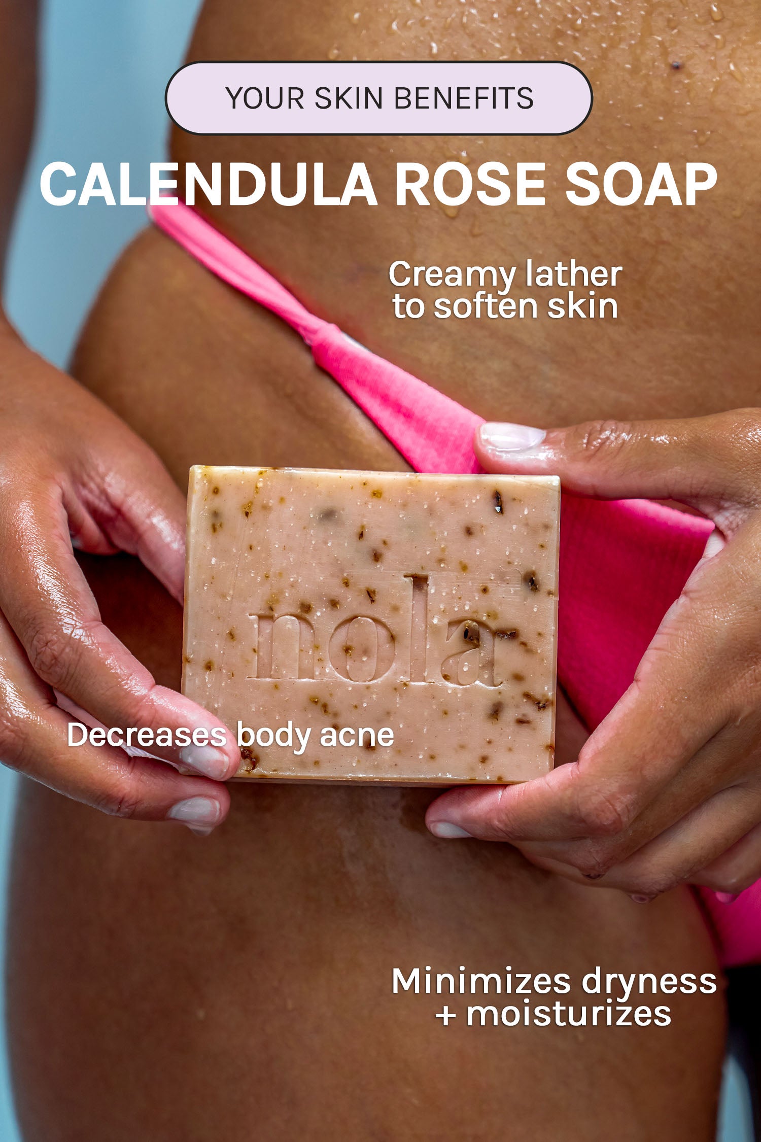 Calendula Rose Body Bar